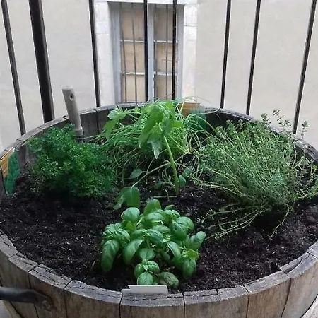 Gite Au Coeur De Volnay Beaune  Buitenkant foto